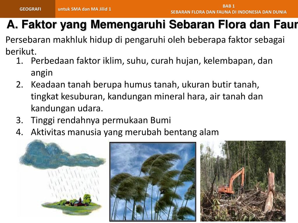 Faktor Faktor Yg Mempengaruhi Persebaran Flora Dan Fauna Materi